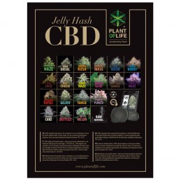 POSTER VARIETÀ JELLY HASH CBD