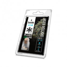 DOCTOR KUSH MEDICAL 5 GRAINES