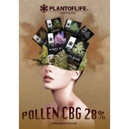 POSTER POLLEN 28% 50X70