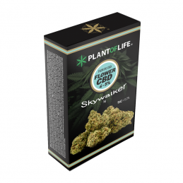 FIORI SKYWALKER CBD 3G...