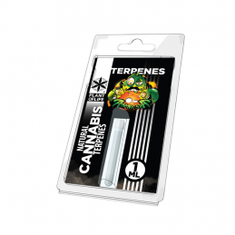TERPEN AMNESIA HAZE 1ML