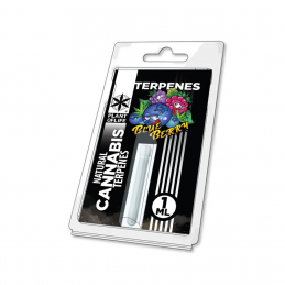 TERPEN BLAUBEERE 1ML