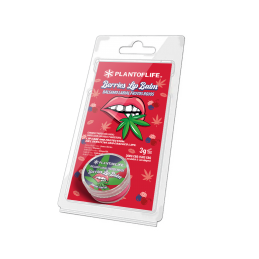 RED BERRY LIPSTICK 1% CBD...
