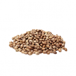 AUTOMATIC SEED 100 UNITS