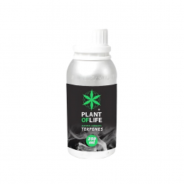 CANNABIS TERPENO 250 ML IN...