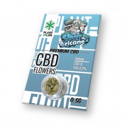 FIORI  CBD SLURRICANE 0.5G