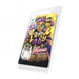 LARRY OG AUTO 5 SEMILLAS