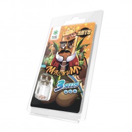 MAGNUM AUTO 3 SEEDS