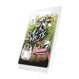 WHITE WIDOW AUTO 5 SEMILLAS