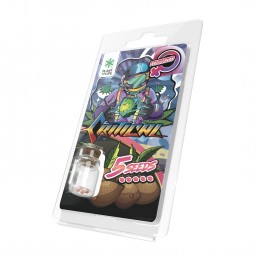 CRITICAL FEMINIZED 5 SEEDS