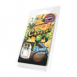 CHEESE FEMINIZED 3 SEEDS