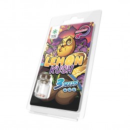 LEMON KUSH FÉMINISÉE 3 GRAINES