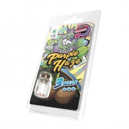 PURPLE HAZE FEMINIZED 3 SEEDS