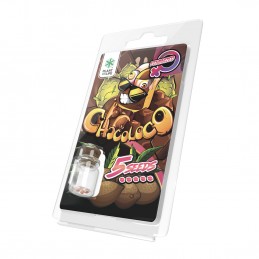 CHOCOLOCO FÉMINISÉE 5 GRAINES