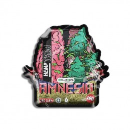 HEMP BITES MIT CBD AMNESIA 10G