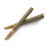 Joint di CBD Pre-Rollati