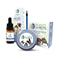 Cbd per Animali Domestici